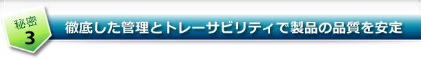 OꂵǗƃg[TreBŐi̕i