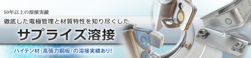 OꂵdɊǗƍގms@TvCYn