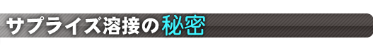 TvCY̔閧